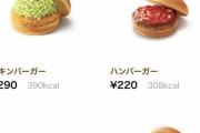 【画像】　モスバーガー、ガチで高すぎる…お前らが思ってるより3倍高いｗｗｗｗｗ