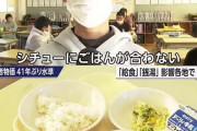 小学生さん、給食のメニューに不満だった。