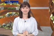 【画像】テレ東に弘中綾香の下位互換の女子アナが現れる