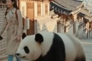 中国人「ソウルにこんな古い建築物があったとは」　中国人「いかにも日本らしい建築」「四姉妹だね」