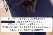 女さん「キャアアアアア部屋にゴキブリがいる！警察に電話しなきゃ！」→ ゴキブリ駆除に警察出動