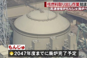 高速増殖炉もんじゅ「ごめんね。やっぱりナトリウム77トン抜き取り無理なの…。だれか技術開発して」