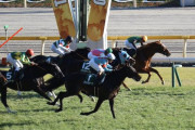 【東京新聞杯】ヴァンドギャルド出遅れなかったら馬券内だろ！
