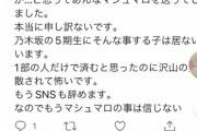 【悲報】例の5期生｢ごめんなさい全部嘘です。4次審査に落ちた悔しさでデマを拡散してしまいました...｣