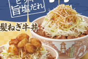 【朗報】吉野家、ひっそりと鶏丼を発売開始ｗｗｗｗｗｗｗｗｗｗｗ