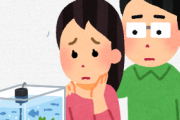 嫁とアクアリウム一緒にしたいんだが