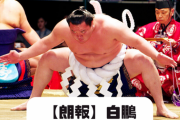 白鵬って土俵から降りると人格者だよね
