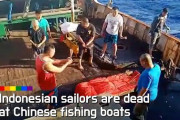 【恐怖】中国の漁船、操業中亡くなったインドネシア人乗組員の遺体を海に遺棄
