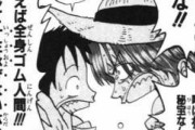 【ONEPIECE -ワンピース】ワンピースの悪魔の実の能力者って海に落ちたら溺れるのになんで海に出るの？？？？？