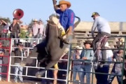 牛の逆襲。ロデオでカウボーイが亡くなった事故の映像。
