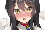 【艦これ】司令、猫がお好きと伺いましたので…これは…その……　ほかイラストまとめ