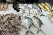 日本産魚介類、99％減　10月の中国輸入