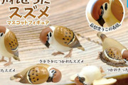 もうヘトヘトに…疲れた･疲れきった･疲れ果てた「スズメ」がガチャフィギュアになって登場！