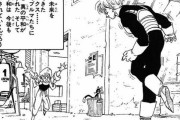 ドラゴンボール35巻「未来の平和はこれからも守られていくだろう。トランクスがいる限り……」