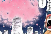 【朗報】ワンピースさん、読者を感動させてしまうｗｗｗｗｗ