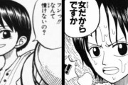 【ONEPIECE】くいなとたしぎが似てるって言われてるけどさ・・・