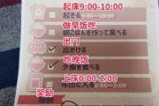 【中国の反応】中国人「日本人が作った生活管理表が面白い！」