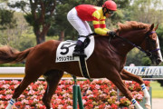 【競馬予想】[1]第30回函館スプリントステークス(GIII)