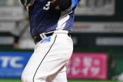 山川穂高(30) .264 39本 84打点 ops.968