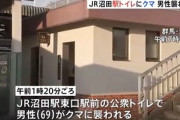 群馬･JR沼田駅前の公衆トイレにクマ トイレから出てきた69歳男性が襲われる