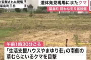 新聞配達員の遺体が見つかった草むらにまたクマ現れる