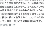 【速報】欧州「日本はアフリカ人を受け入れた事を後悔する。ソースは俺の国」