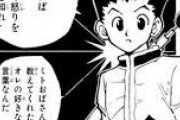 【悲報】人気漫画「ハンターハンター」名言、少ないｗｗｗｗｗ