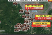 【動画あり】北海道で罠にかかったヒグマ、ヤバすぎるｗｗｗｗｗｗｗｗｗ