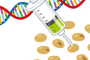 【畑の肉】豚の遺伝子を組み込んだ大豆が開発される　豚肉の代替食品になるかもしれない･･･