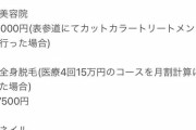 【画像】女さん「こちらが普通の女の子を維持する為にひと月でかかる金額の見積もりです」2万いいね