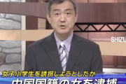 【静岡】中国人が日本人女児を誘拐未遂　移植用臓器抜き取り目的か…石破政権「中国に小中学生を修学旅行させます！」←あっ・・・
