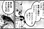 【注意喚起】レンズを向けただけで巣を放棄する鳥も！「営巣写真」に反対する漫画が予想以上に深刻だった