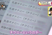 小学生ワイ「ほい…（80点の答案）」マッマ「100点取れよぉ！」（DS冷蔵庫に投げる）　→