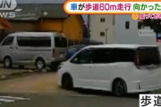 【動画】「いまだにこんな運転…」車が歩道を60m走行