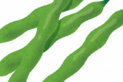 さやえんどうの旨さが分からん