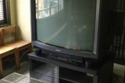 外国人「日本の蕎麦屋に何気なく置かれてたテレビが伝説級だった」