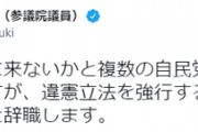 小西ひろゆき「自民党に来ないかと複数幹部から誘われるが、違憲する党行くぐらいなら議員辞職する」