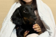 島田麻央さん、TENTIAL冷感掛け布団で愛犬コロマルちゃんと至福の眠り心地よさに満ちた夏の夜