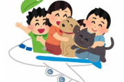 識者「”機内のペット同伴やめろ”の意見は無視して、どんどんペット持ち込みOKにしていくべき」
