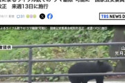 【朗報】警察官によるライフル銃でのクマ駆除、可能に　国家公安委員会規則を改正