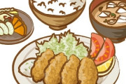 【画像】この500円の白身フライ定食の欠点ってなに？ ＆ この焼肉定食の欠点を答えなさい
