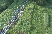 外国人「福島では捨てられた車が飲み込まれてる…」自然が文明に勝っている画像が話題に