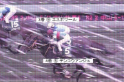 裁決委員「3着が善臣かデムーロか、肝心な所が雪に隠れててわからん…せや！」