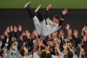 引退の阪神・糸井　最後はライトにグラブ、打席にバットを置きファンと甲子園に別れ　胴上げは７度舞う