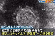 変異種の新型コロナウイルスに感染した人が東京都内で2人確認される　空港検疫以外で初