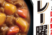 レトルトカレー最高傑作、決まるwwwwww