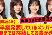 【日向坂46】卒業発表しているメンバー○○までは在籍している模様
