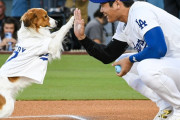 大谷の愛犬・デコピンが完璧すぎる始球式！ 海外ファンも可愛すぎると絶賛