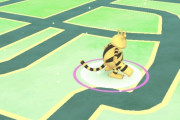 【ポケモンGO】野生ポケモンタップすると固まってなにもできなくなる
