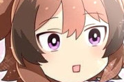 【ウマ娘】サポガチャは爆死したけどキャラガチャは大勝利だったのだ。